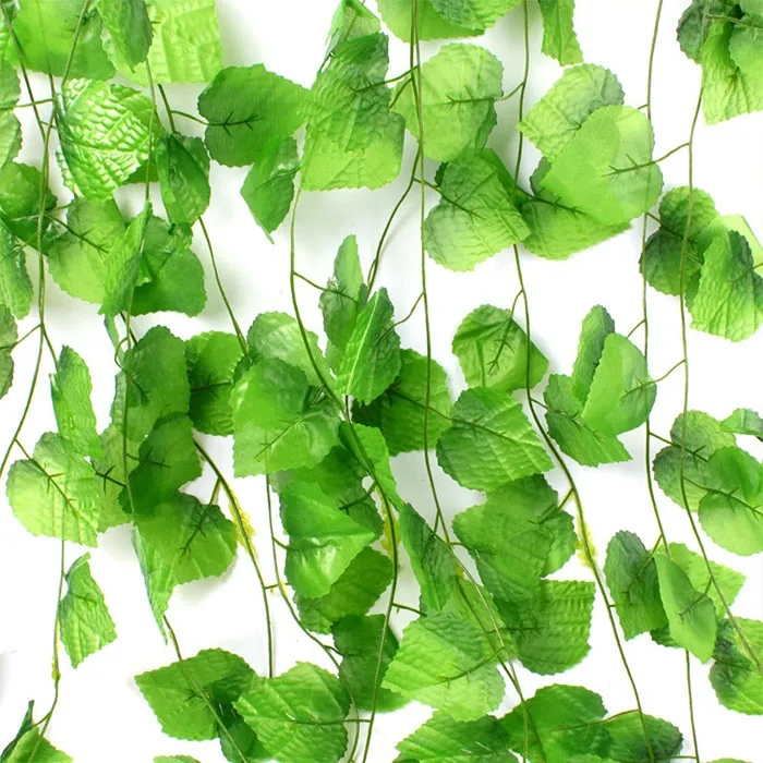 ivy2.webp