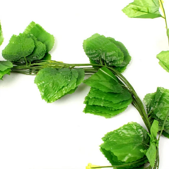 ivy3.webp