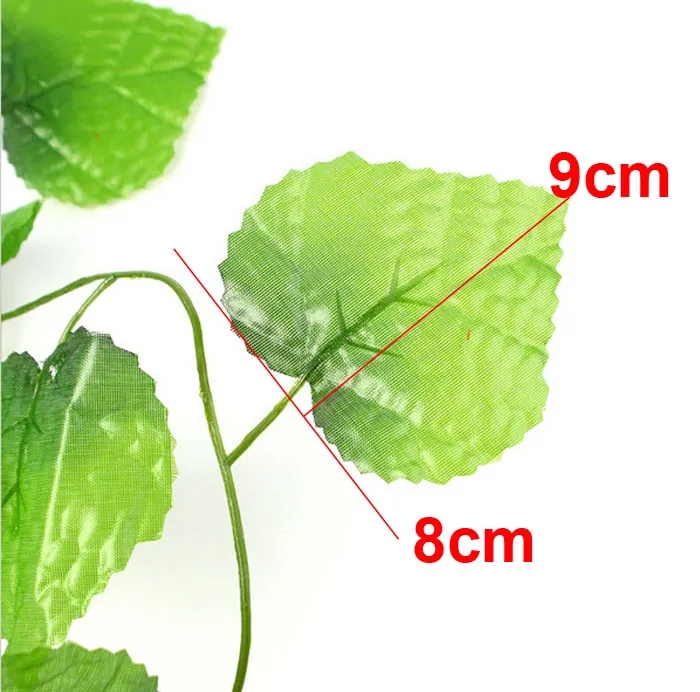 ivy4.webp